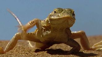 Episode 4 The Arid Namib