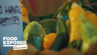 Episode 6 Superfoods