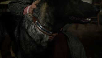 Episode 7 Bringing to Light