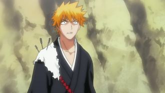 Episode 20 Ichimaru Gin no kage