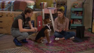 Episode 12 Dog WedDING!