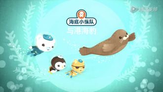 Episode 13 The Harbour Seal