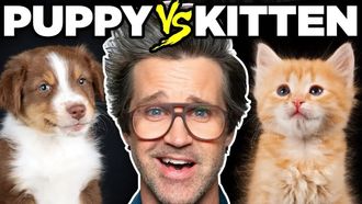 Episode 54 Which is Cuter?