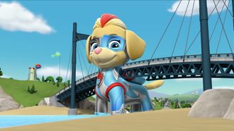 Episode 12 Mighty Pups, Super Paws: Pups Meet the Mighty Twins