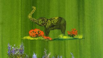 Episode 3 Elephant