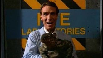 Episode 18 Reptiles