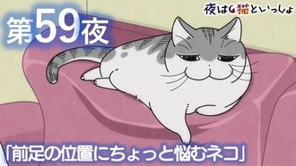 Episode 59 Night 59: A Cat Who Can't Decide Where to Rest Its Forepaw