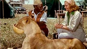 Episode 13 The Devil Leopard
