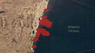 Episode 4 Bedlam in Brazil