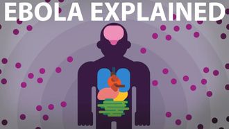 Episode 13 The Ebola Virus Explained — How Your Body Fights for Survival