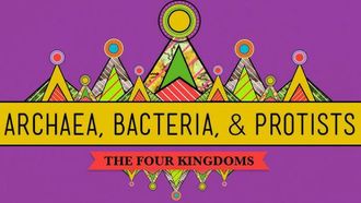 Episode 35 Archaea, Bacteria & Protists