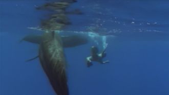 Episode 9 Survival at Sea and Beyond