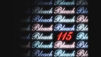 Episode 115 Mission! The Soul Reapers Have Come