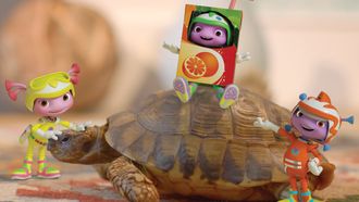 Episode 7 Project: Tortoise