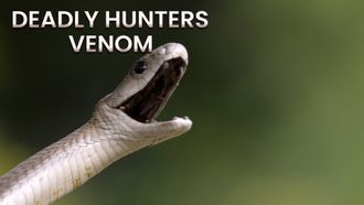 Episode 3 Venom
