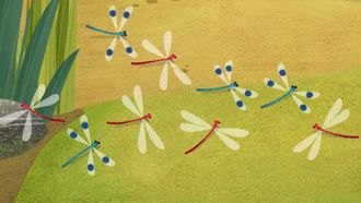 Episode 18 The Dragonfly Display