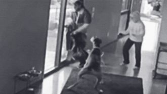 Episode 11 Watch Dogs