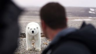 Episode 1 Arctic