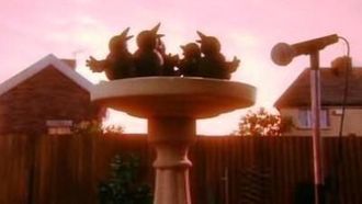 Episode 10 Being a Bird