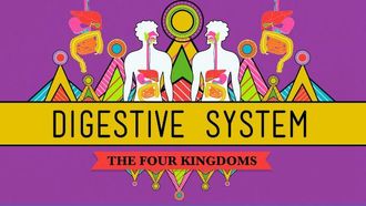 Episode 29 Excretory System