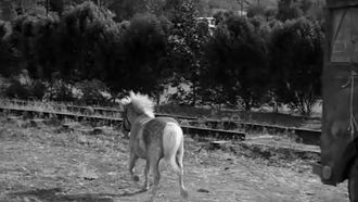 Episode 33 The Horseless Saddle