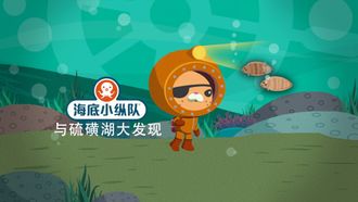 Episode 4 Octonauts and the Baby Sea Turtles