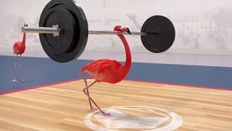 Episode 28 Parallel bars