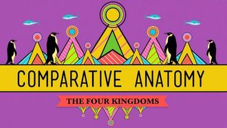 Episode 21 Comparative Anatomy