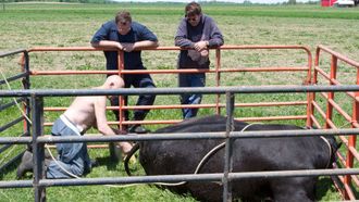 Episode 8 The Cow Jumped Over the Moon