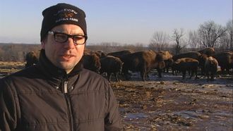 Episode 7 Lakeview Bison Farm