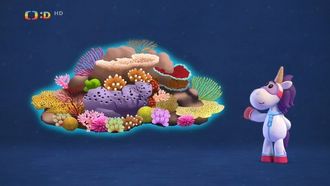 Episode 39 The Great Barrier Reef, Australia