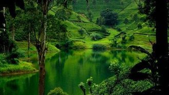 Episode 4 Sri Lanka: Monsoon Island