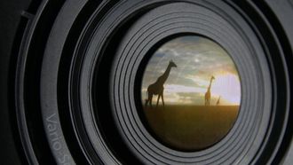 Episode 23 Animal Espionage