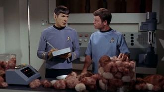 Episode 15 The Trouble With Tribbles