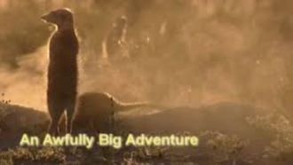 Episode 11 An Awfully Big Adventure