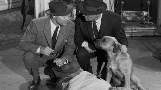Episode 17 The Case of the Sun Bather's Diary