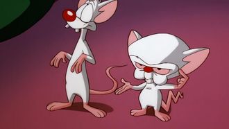 Episode 34 Pinky At The Bat