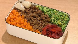 Episode 14 Triple Curry Soboro Bento & Saba Katsu Bento