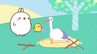 Episode 43 The Stork