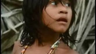 Episode 13 The Nomads of the Rain Forest