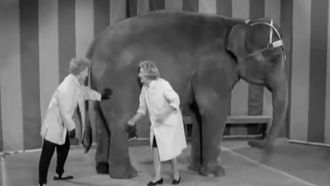 Episode 4 Lucy Misplaces $2,000