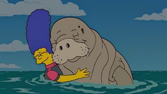 Episode 1 The Bonfire of the Manatees