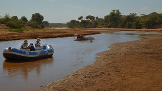 Episode 1 Hippopotamus amphibius