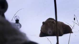 Episode 6 Bear in Sight