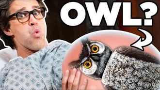 Episode 98 What Am I Giving Birth To? (Game)