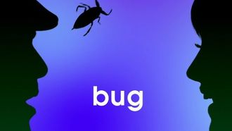Episode 3 Lights, Camera, Beetles!