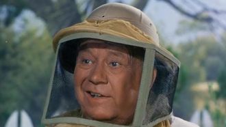 Episode 16 All That Buzzes Ain't Bees
