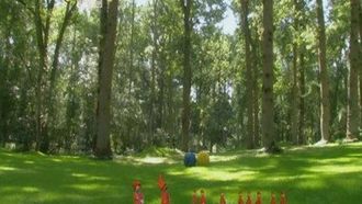 Episode 40 The Tombliboos and the Pontipine children Build an Arch