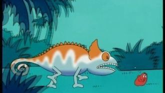 Episode 45 Madagascar - Aye-Aye