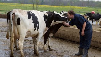 Episode 2 Udder Madness